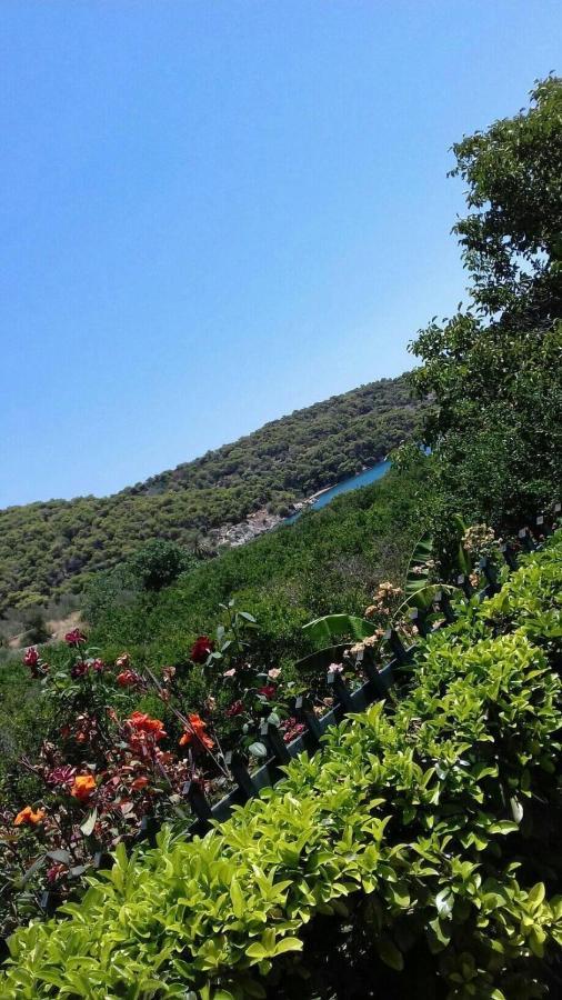 Epidaurus Hotel Marialena المظهر الخارجي الصورة