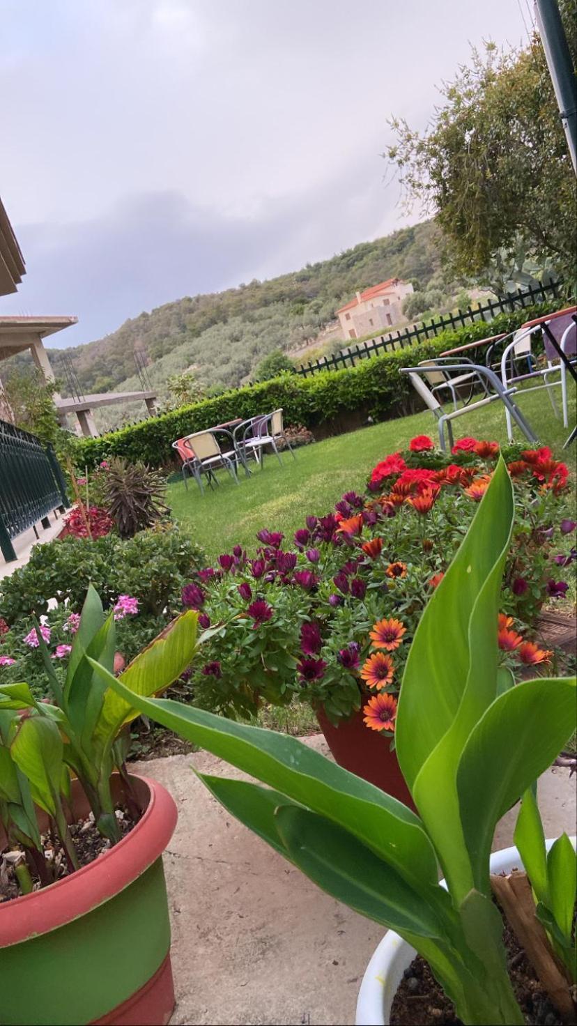 Epidaurus Hotel Marialena المظهر الخارجي الصورة