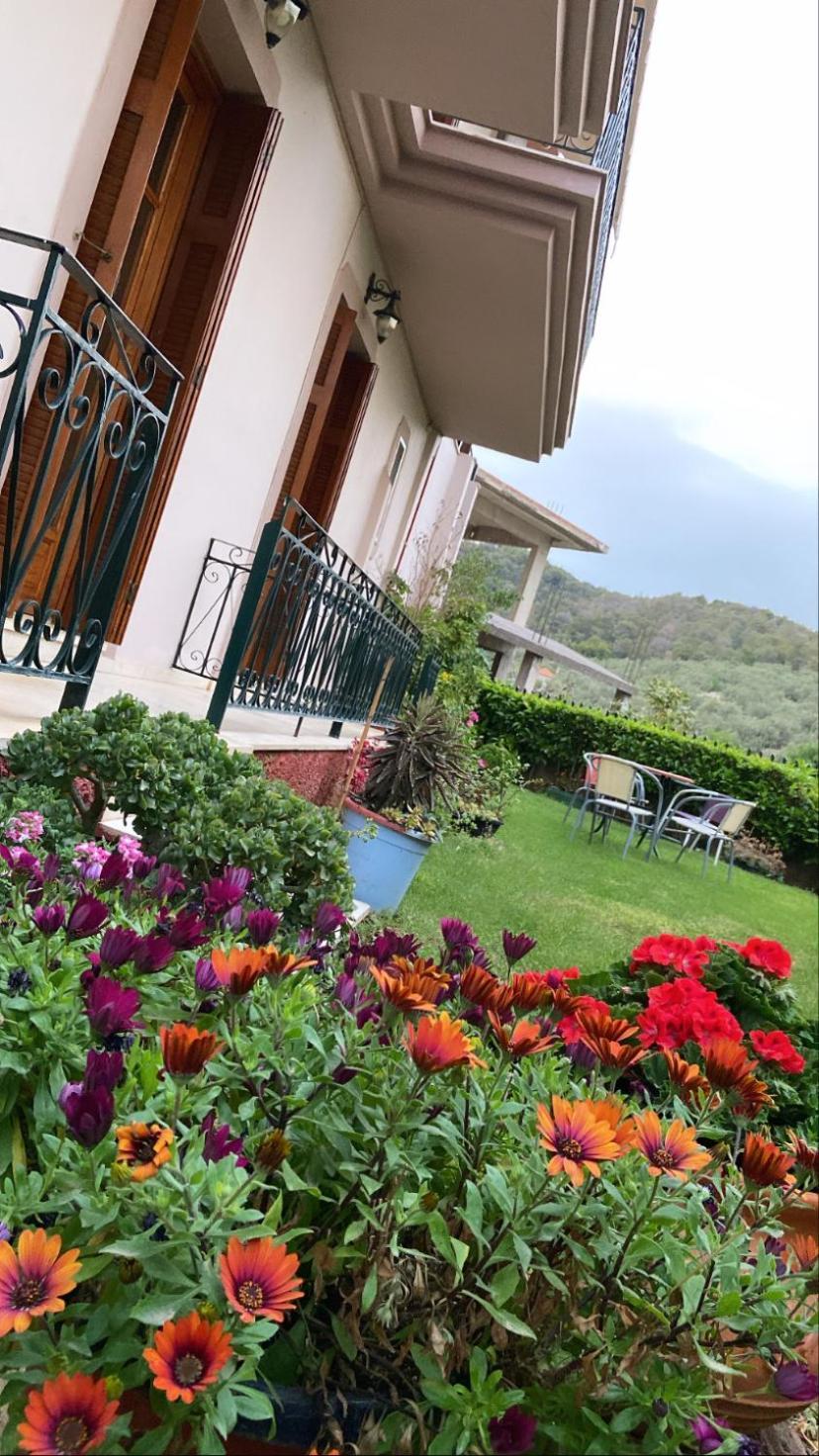 Epidaurus Hotel Marialena المظهر الخارجي الصورة